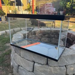 Reptile Terrarium 
