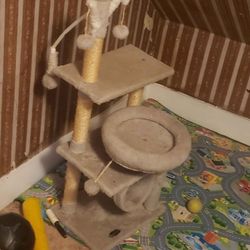 Cat Tree For Sale
