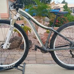 29 Inch Specialized Jett Mountain Bike 