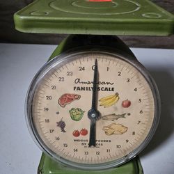 Vintage 1970's American Family Scale Avacado