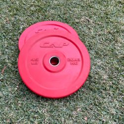 Weights/ Bumper Plates 