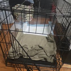 Dog Crate Medium Dogs