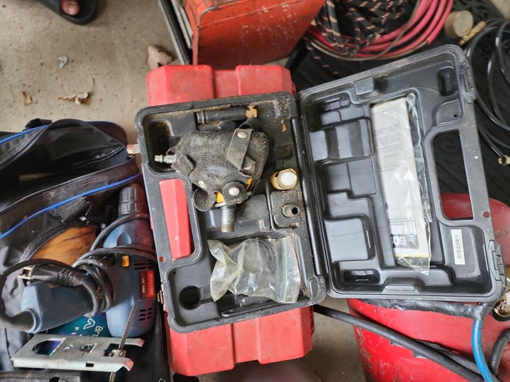 Bosch palm naior
