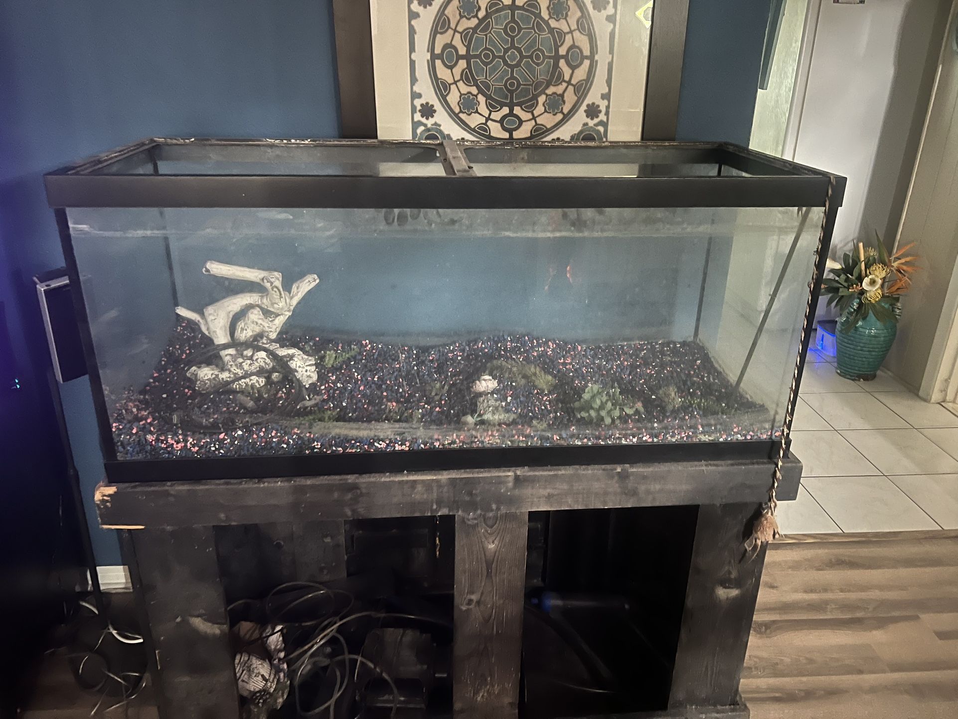 Fish Tank 55 Gallons 