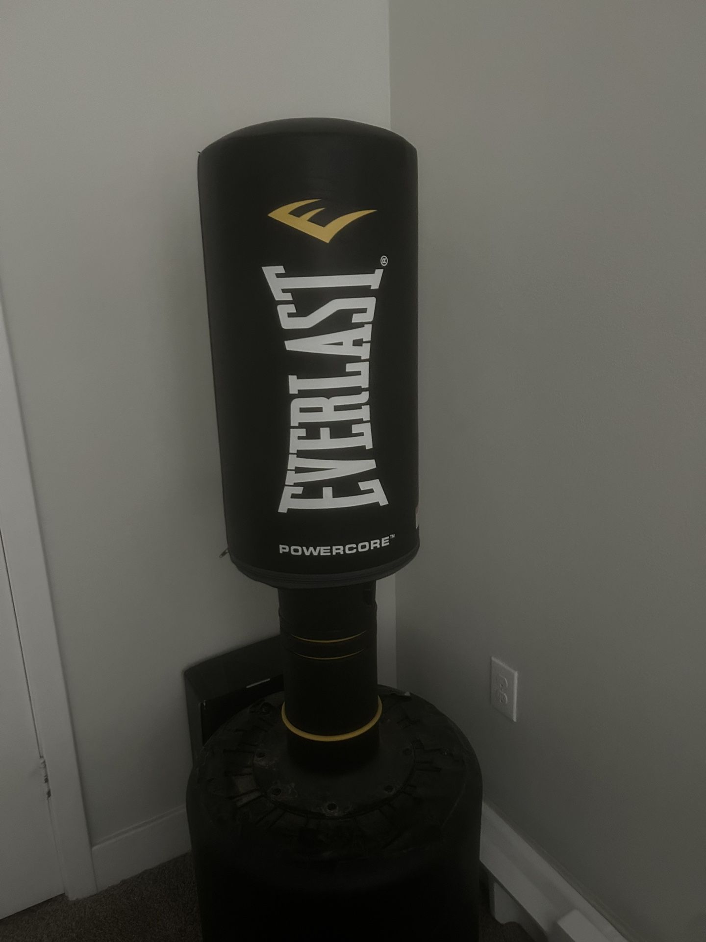 Everlast Punching Bag