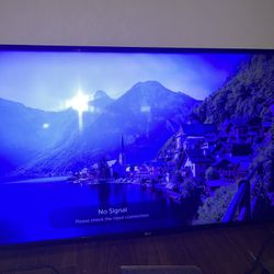 LG Tv 49in 