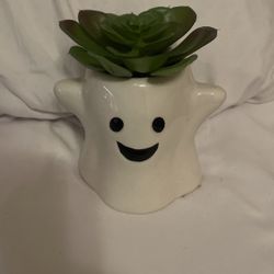 Artificial Ghost Plant
