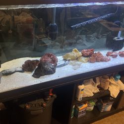 125 Gal