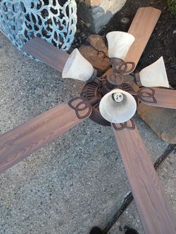 Fan 20