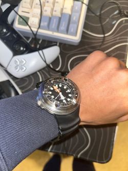 Citizen Professional Diver Watch