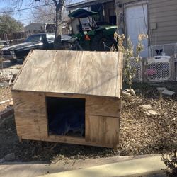 Dog House 