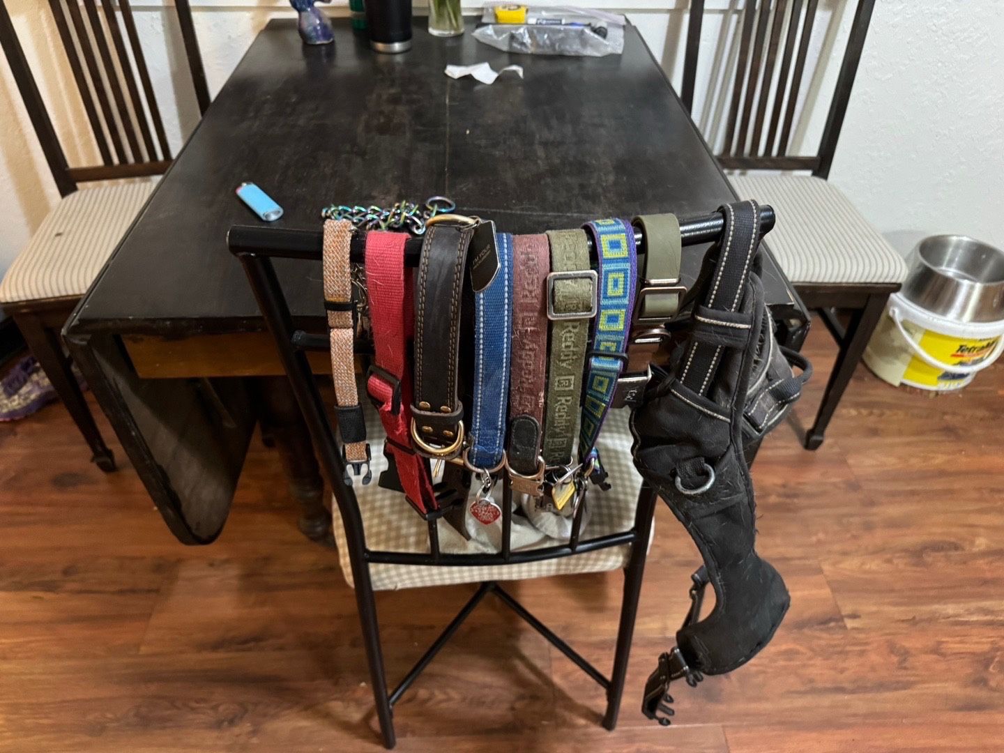 Animal Care And Training