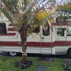 1987 Lazy Daze RV