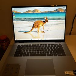 Dell Laptop 