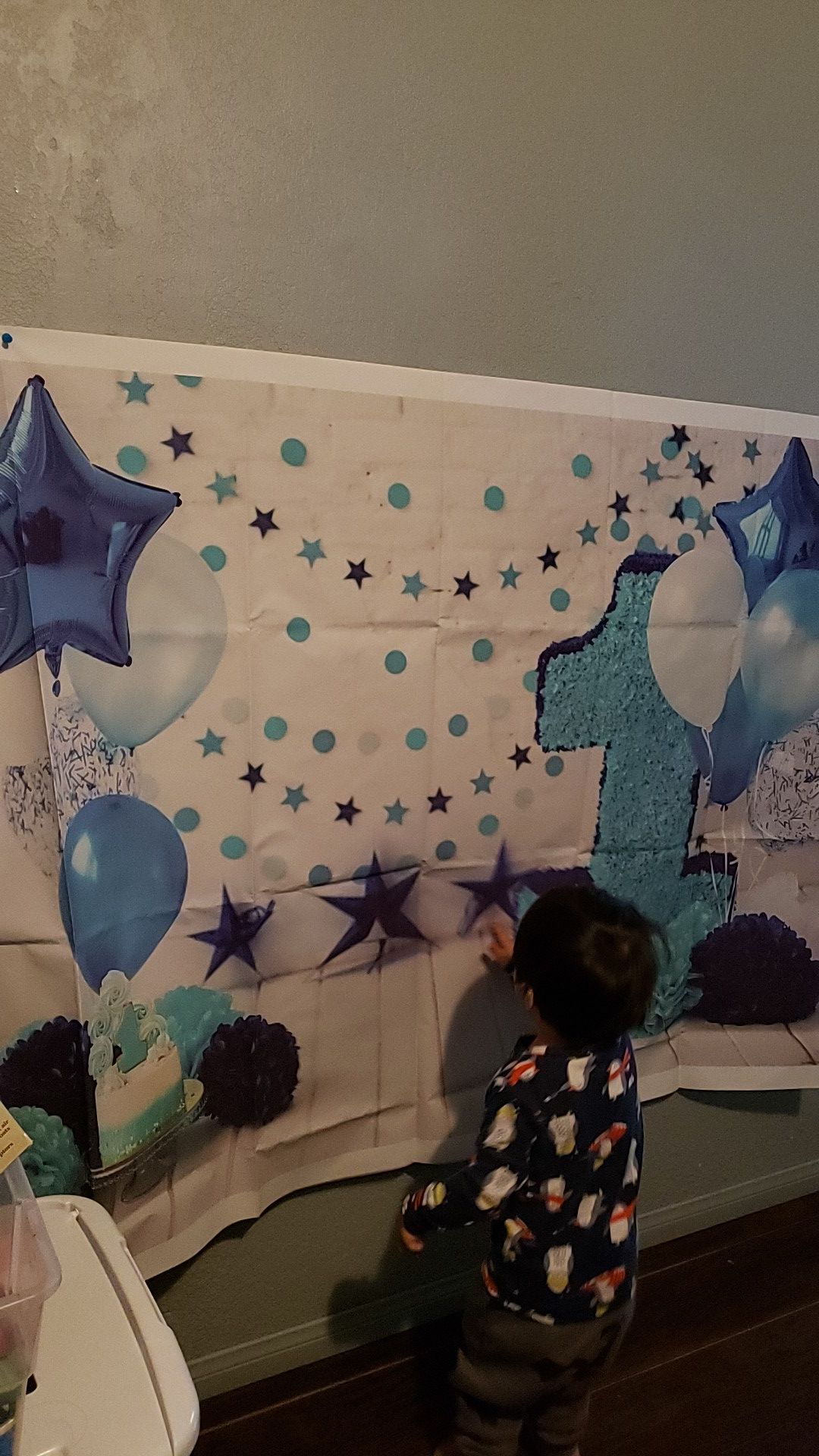 Baby Boy 1st birthday back prop