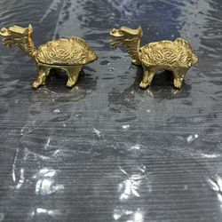 Pair of Solid brass turtle body with dragon head Gold Color Brass 