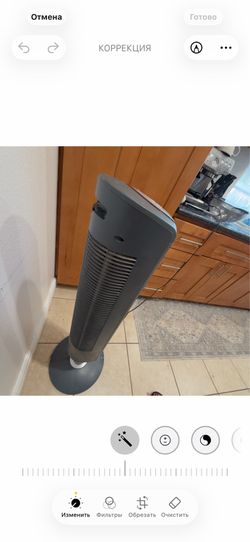 Fan