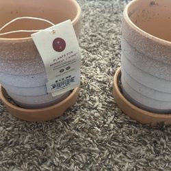 Plant pots - Set Of 2 