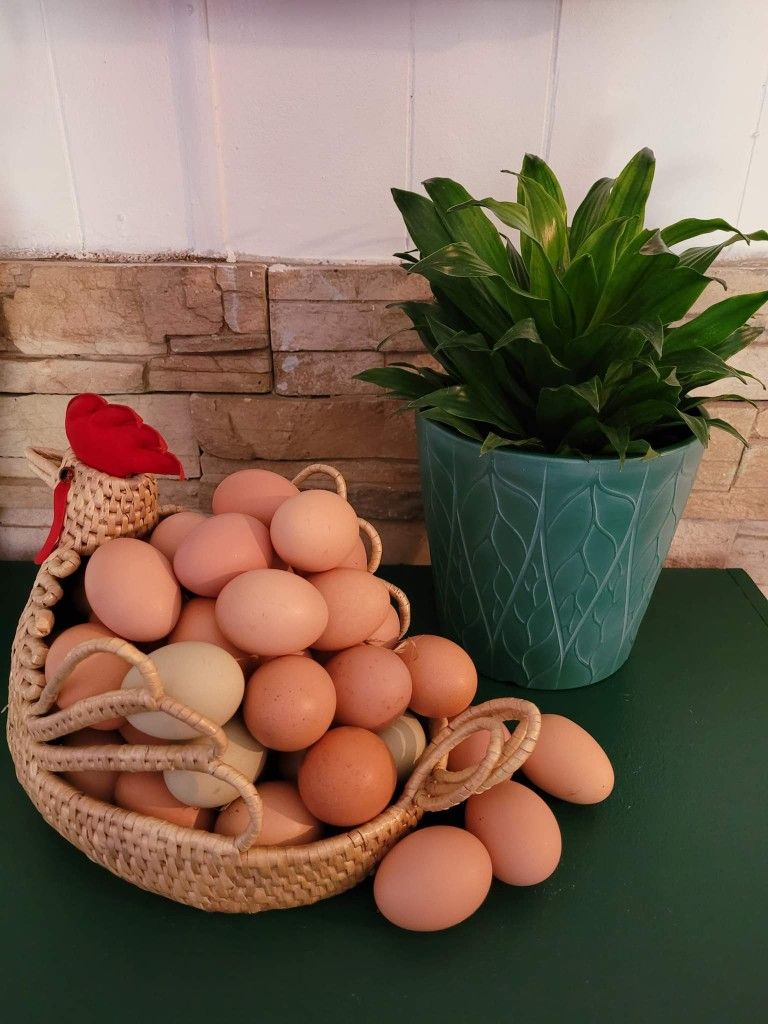 Fresh Fresh Fresh Eggs