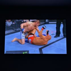 65” TV w/ Fire Stick or w/o