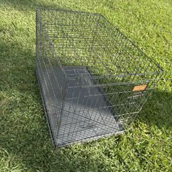 Dog Cage