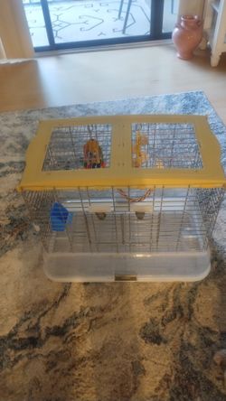 Bird Cage