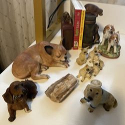 dog collection 