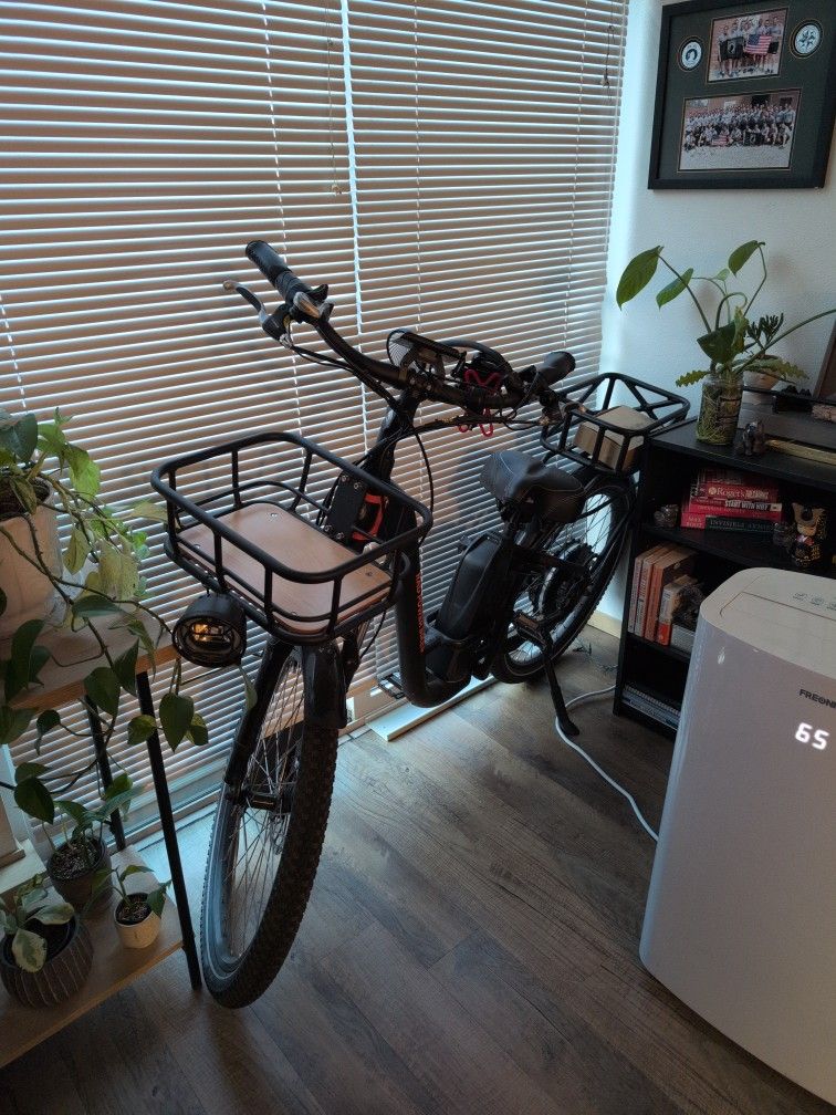 Rad Power 3 E-bike