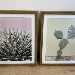 Framed Prints