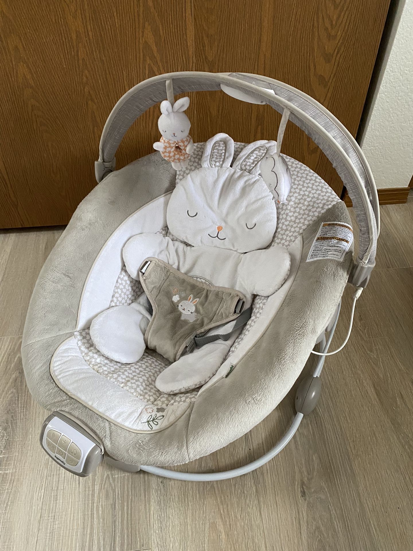 Ingenuity Baby Bouncer