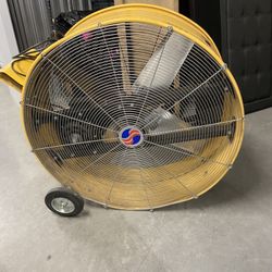 Fan