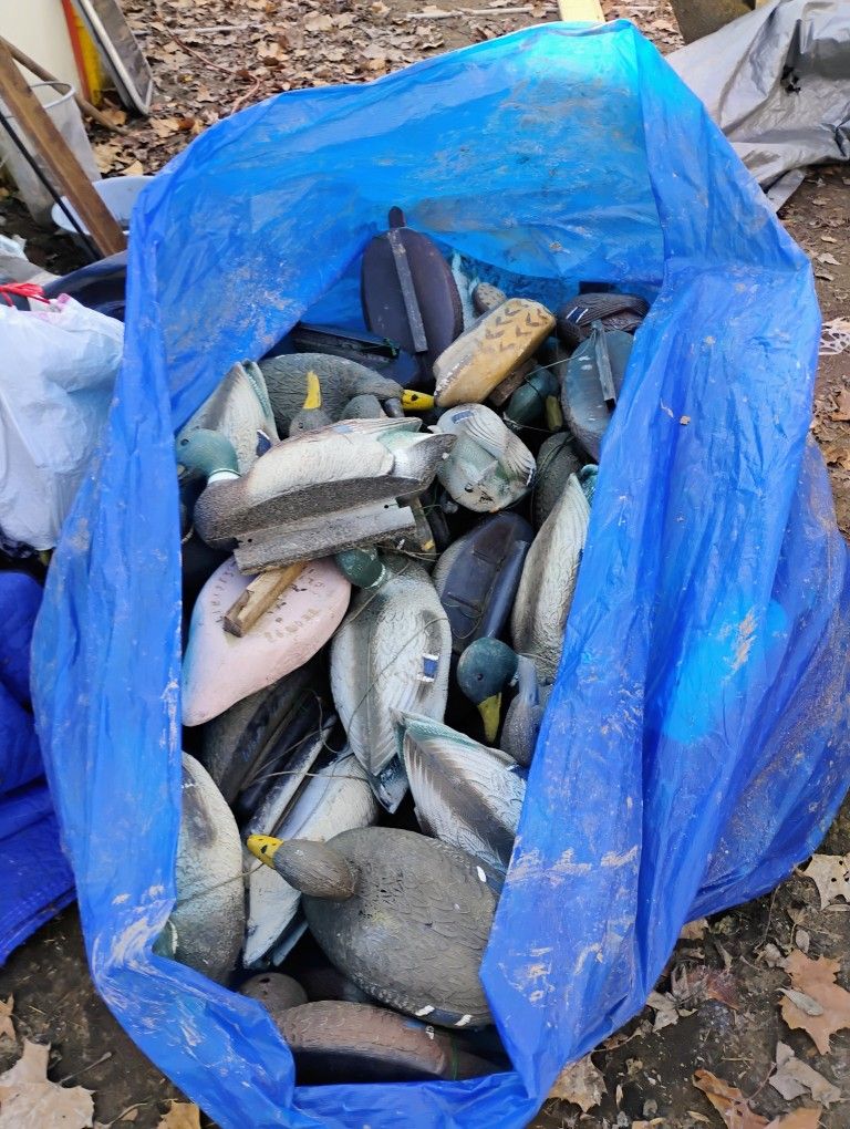 150 Duck Decoys