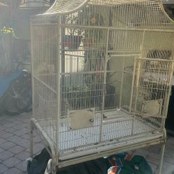 Bird Cage 