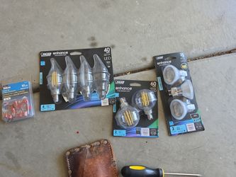 LIGHT BULBS