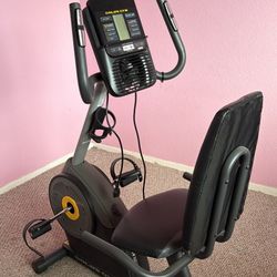 Golds Gym Bicycle 