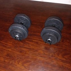 20lbs Weights 