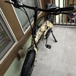 Jupiter Bike