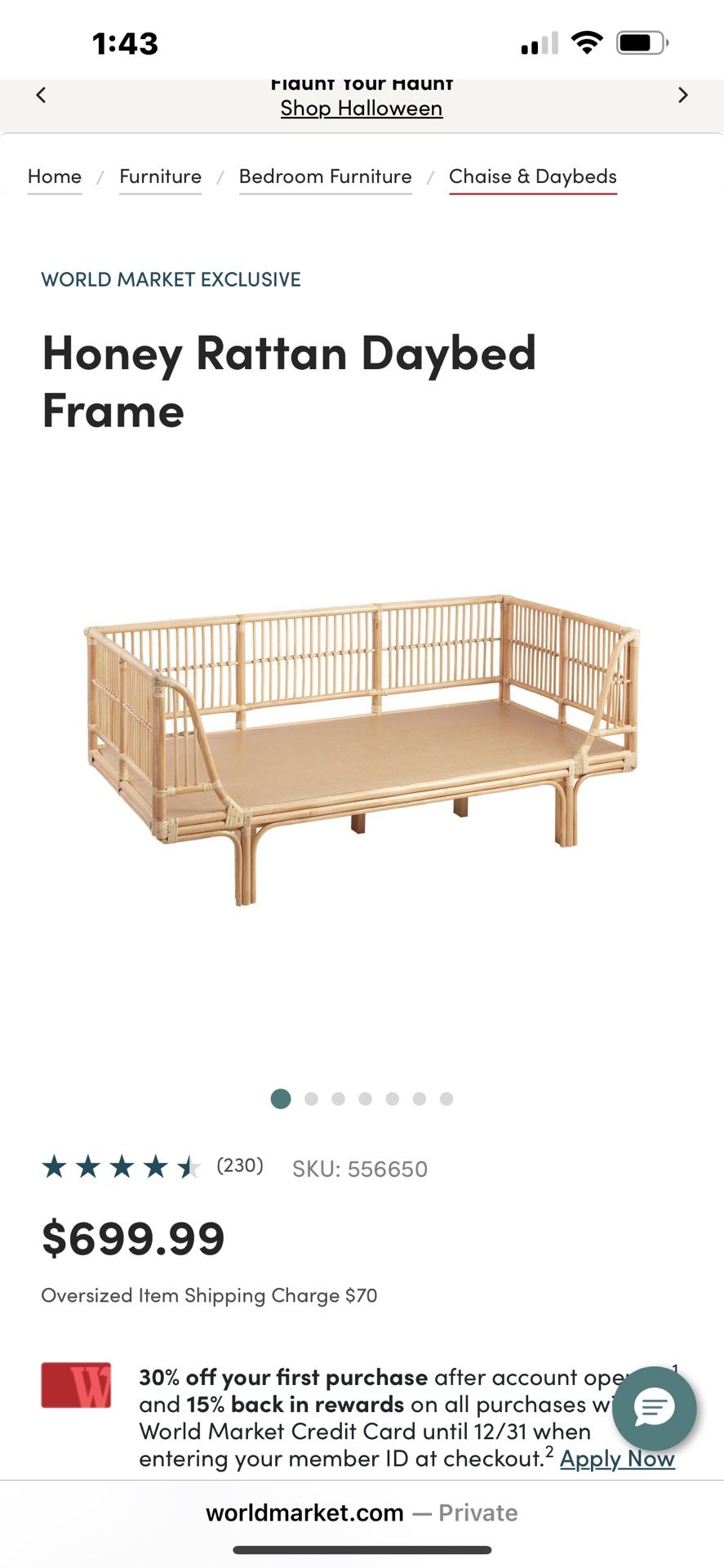 WORLD MARKET RATTAN DAY BED