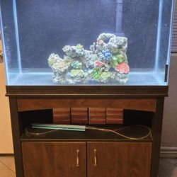 65 Gallon Aquarium 