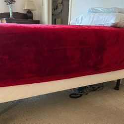X-Large Twin Electric Bed For Sale