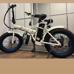 Fat Tire Bike