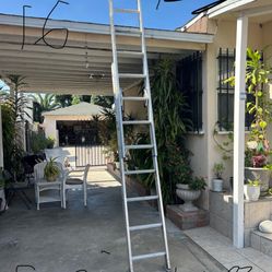 Excellent Condition, Different Sizes Aluminum Extension, Ladders