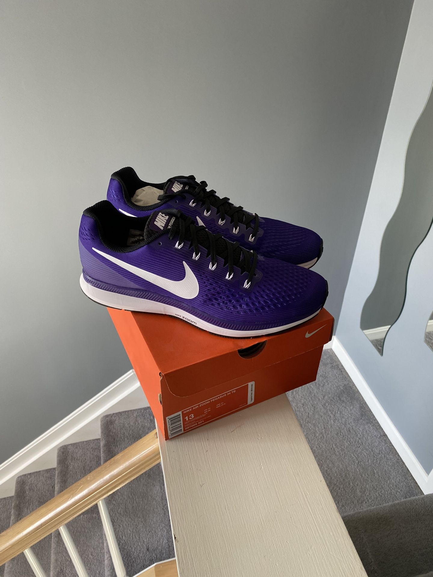 Nike Air Zoom Pegasus 34 TB