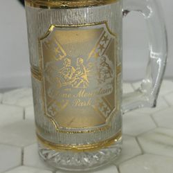 Vintage Stone Mountain Park Georgia 22k Gold Oliver Souvenir Mug