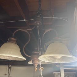 Light Fixture