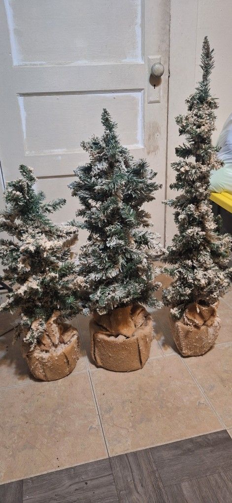 Vintage Small 3 Pc Christmas Trees 