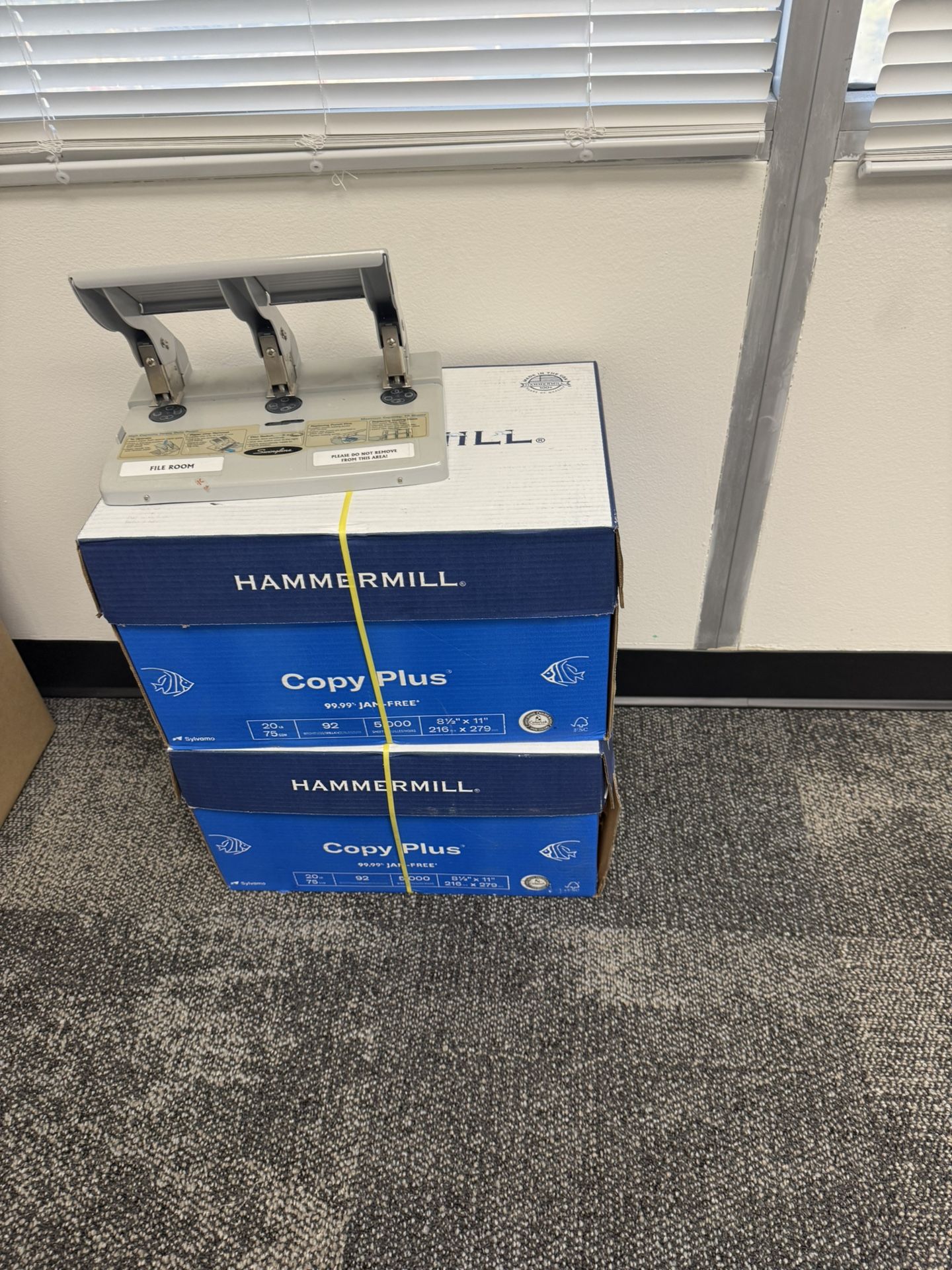 New Copy Paper Hammermill Boxes