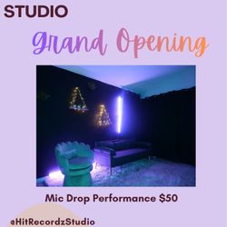 Microphone Performance