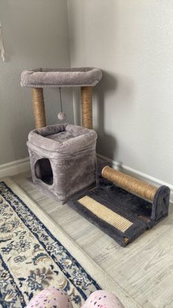 Cat scratcher, bed, house