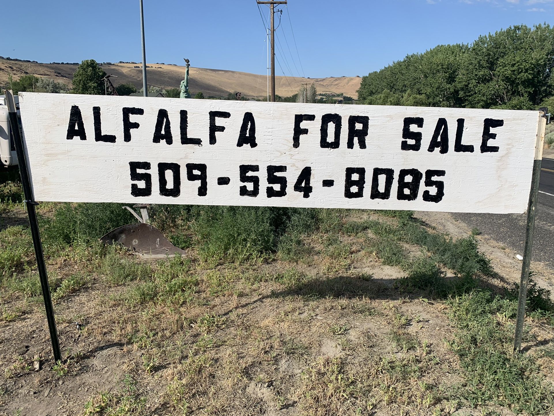 Alfalfa For Sale